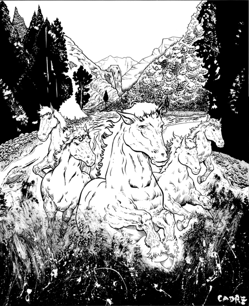 5 horses commission
