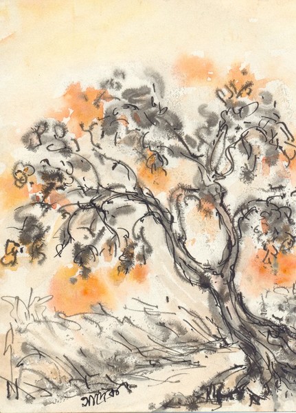 SONGS OF THE FIRE