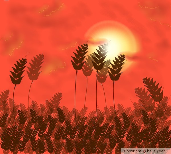 winter wheat