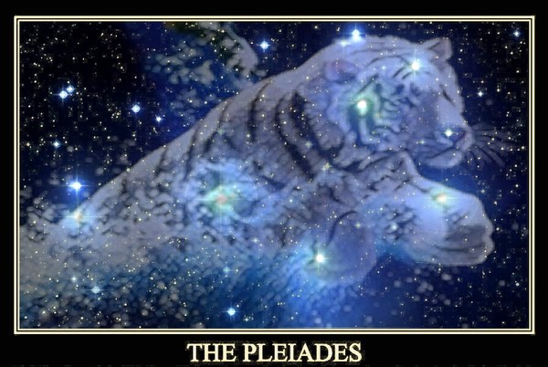 pleiades4