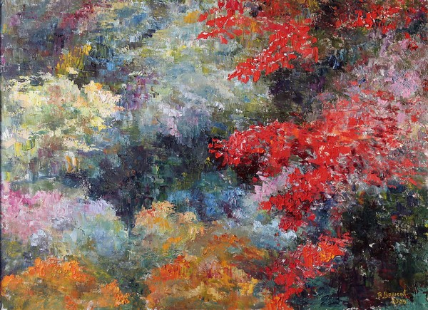 Colours of Forest
