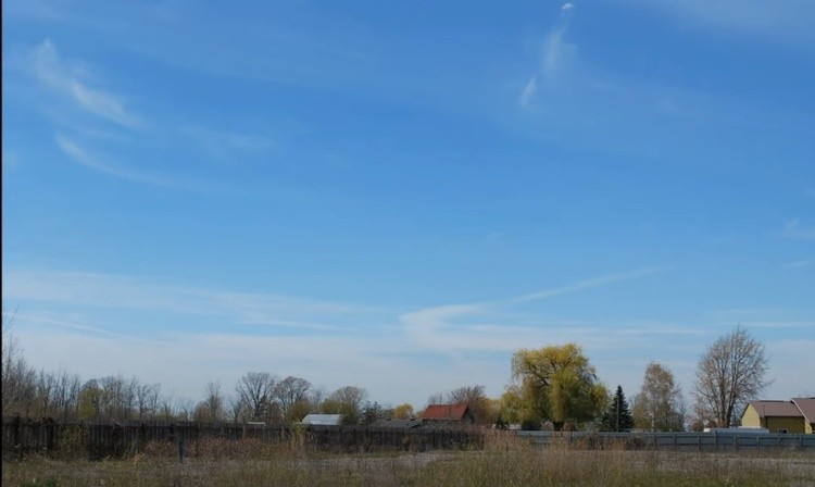 Dunnville Forest 20