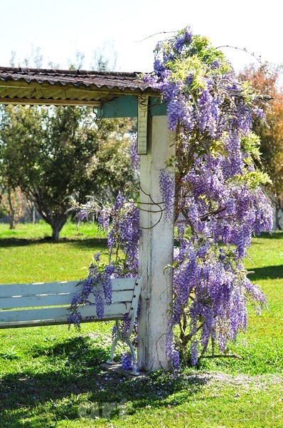 the bench at the farm