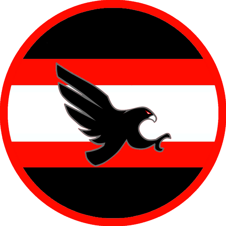 Falcon Logo