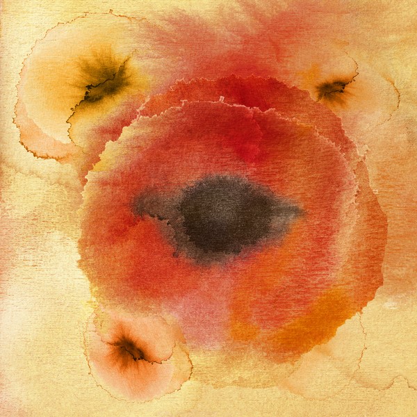 Flowers I