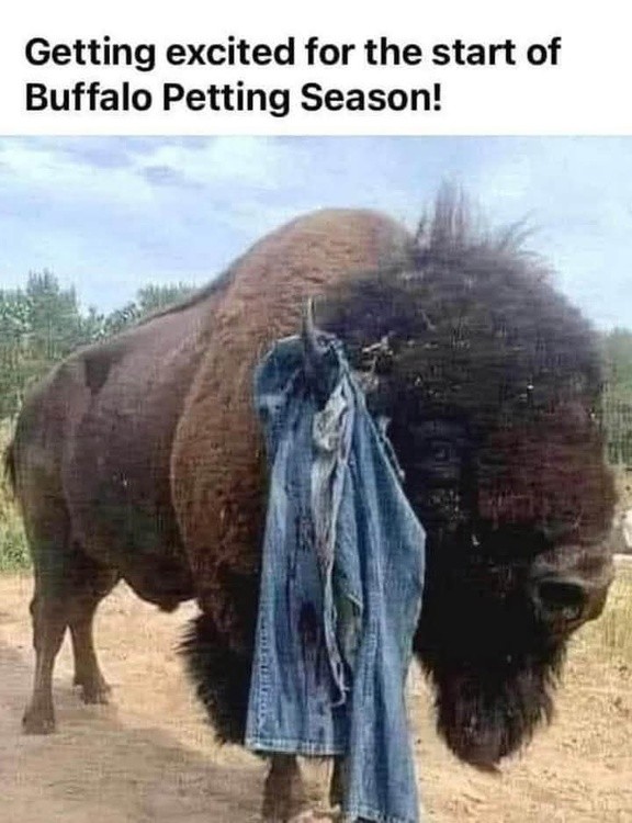 Tourists times in Montana