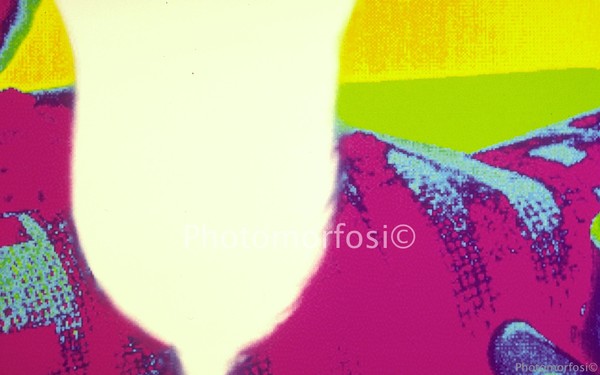 Photomorfosi©1994 - Serie Il calice-2