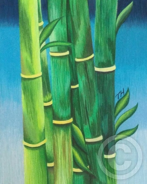 Bamboo