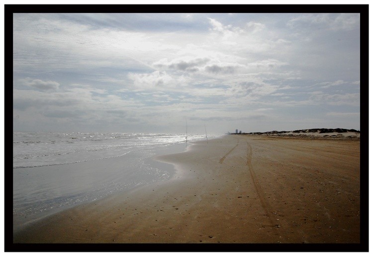 South Padre Shooreline