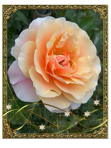 HAPPY BIRTHDAY DEAR STEFANI !!!