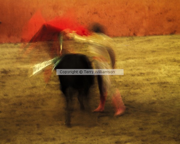 Bull fighter