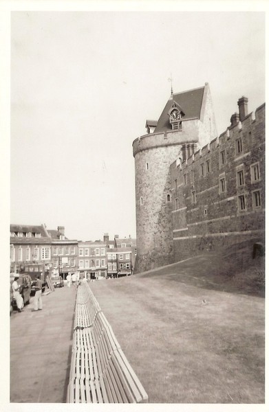 windsor