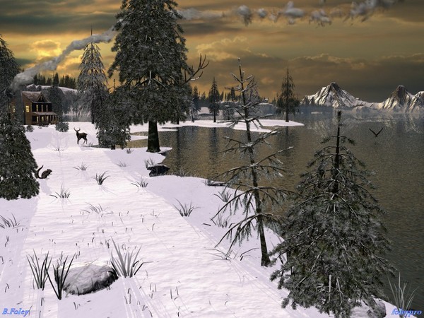 Winter Wonderland