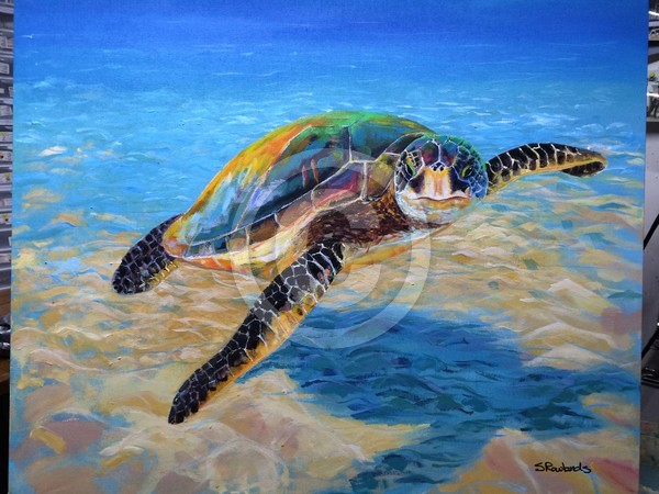 Turtle Flying