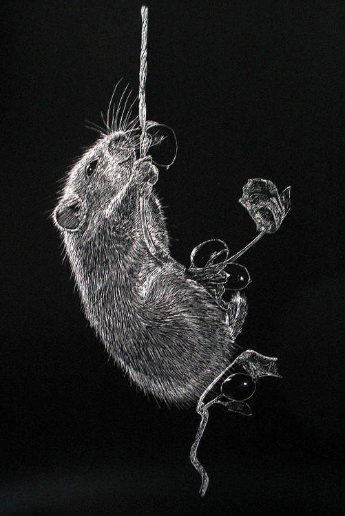 Autumn Doormouse