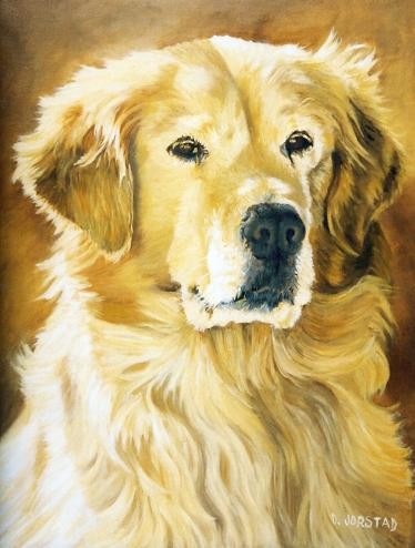 Golden Retriever Dog