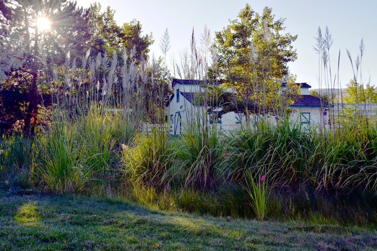 Ranch House