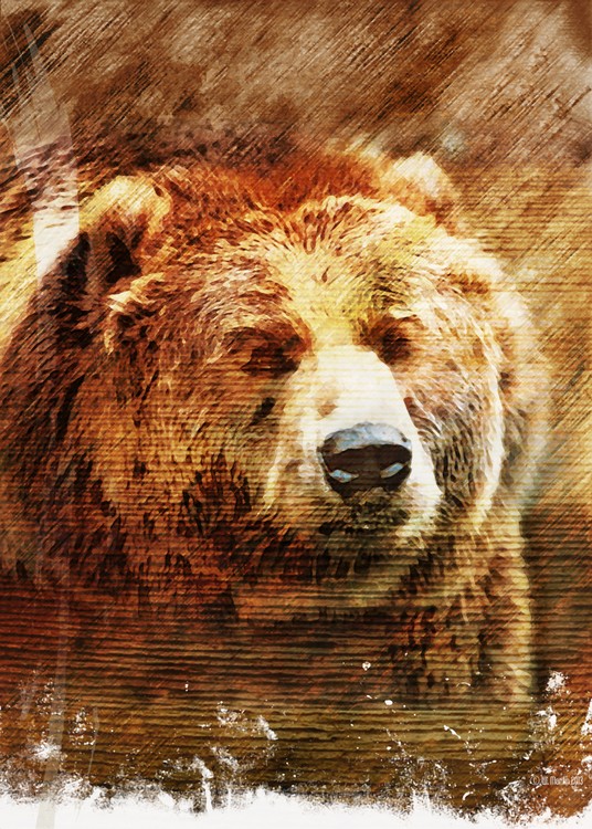 Rustic Grizzly Fine Art Illustration