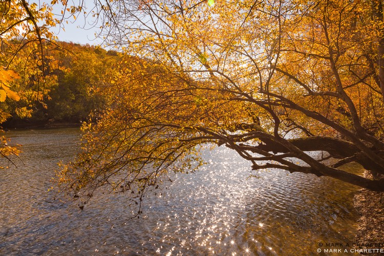 Autumn River