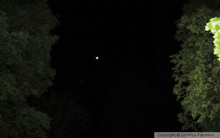 Crescent Moon