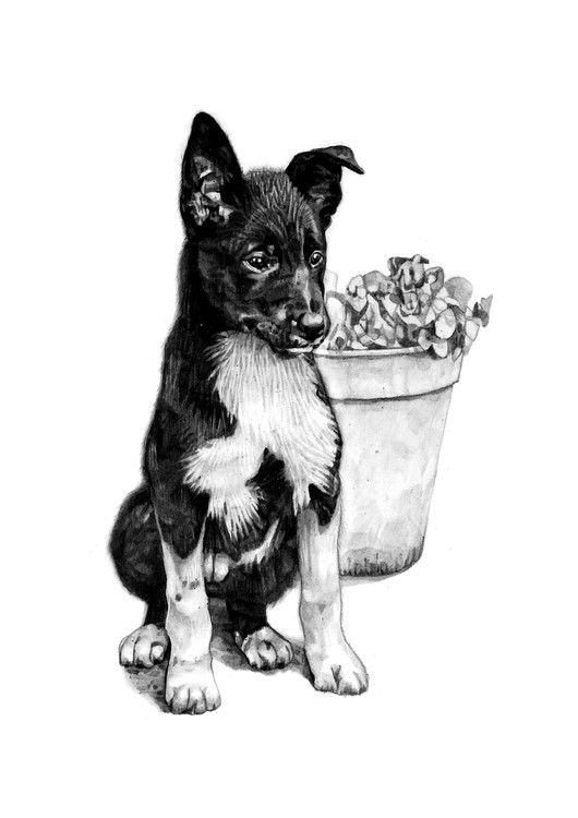 Dog Portrait