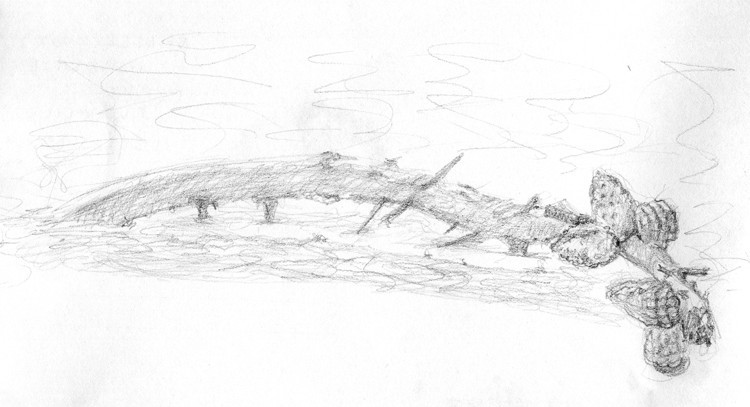 Miller-Knox Shoreline Sketch
