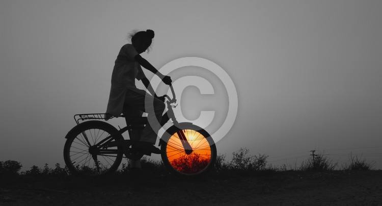 Evening Sun