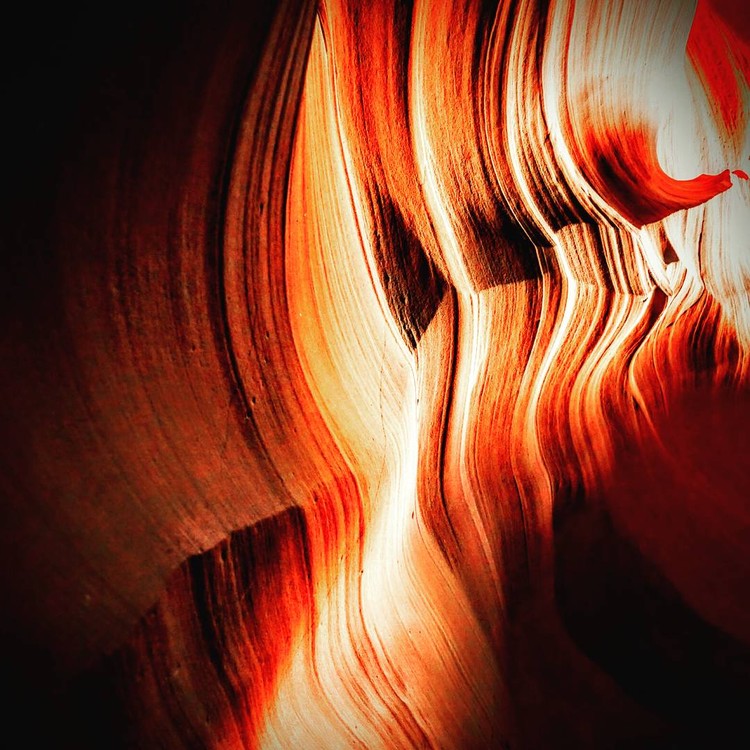 The Wave