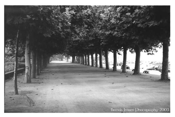 German Walkway 1