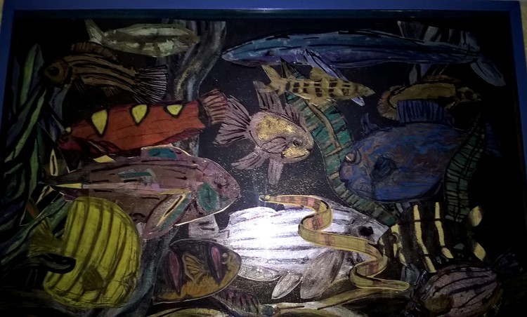 marine life