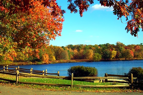 Turkey Swamp Autumn