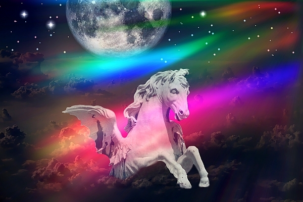 Moonlight Flight