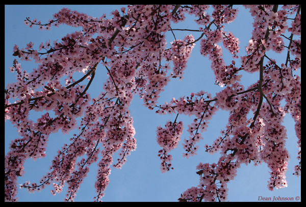 Spring has Sprung