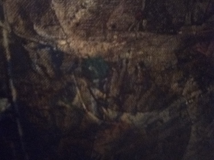 IMG 20190223 190838