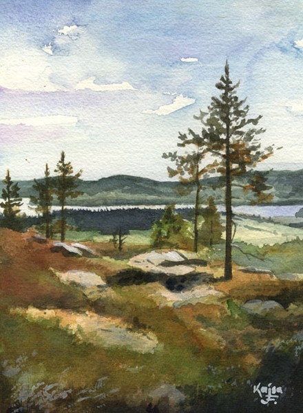 Norhern Summer