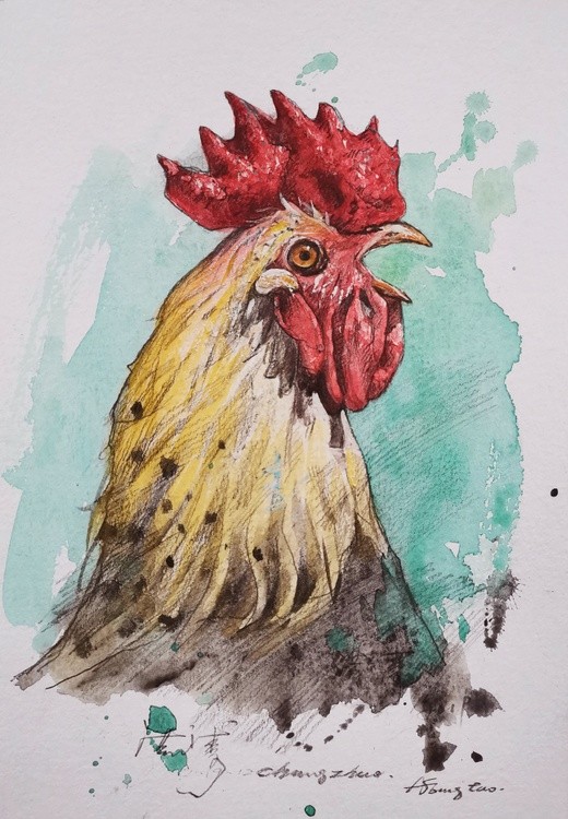 Watercolor  Cock