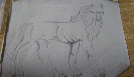 Wolf/loin 
