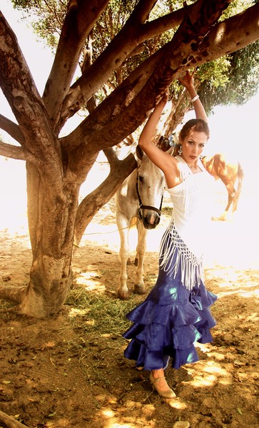 KAREN MURO horse 