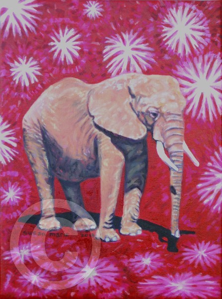 Elephant Baby
