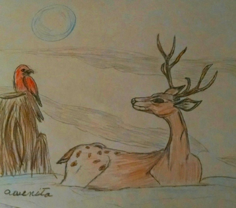 reindeer