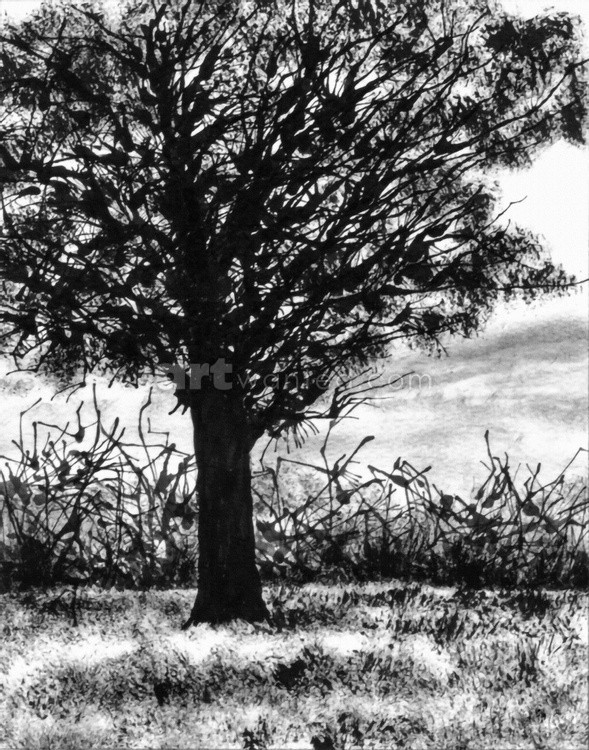 One tree with a bush in the background