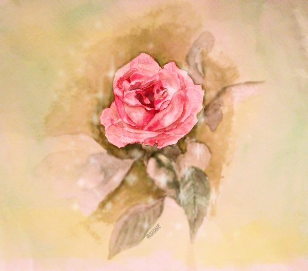From A Secret Garden