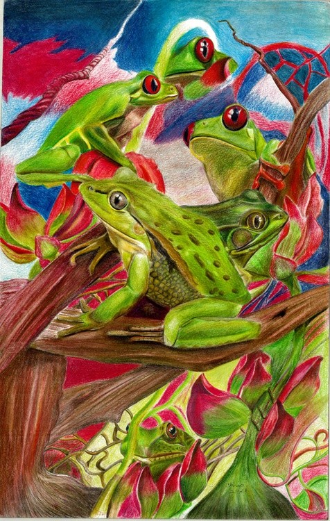 Frolicking Frogs