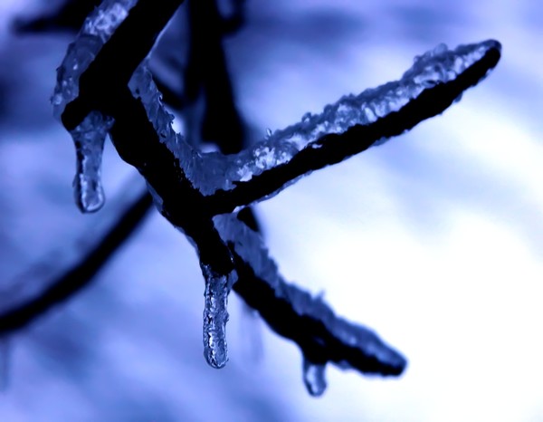 Kansas Ice Storm 2005