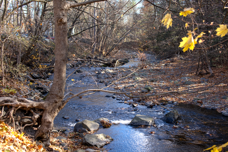 WaterWheel098