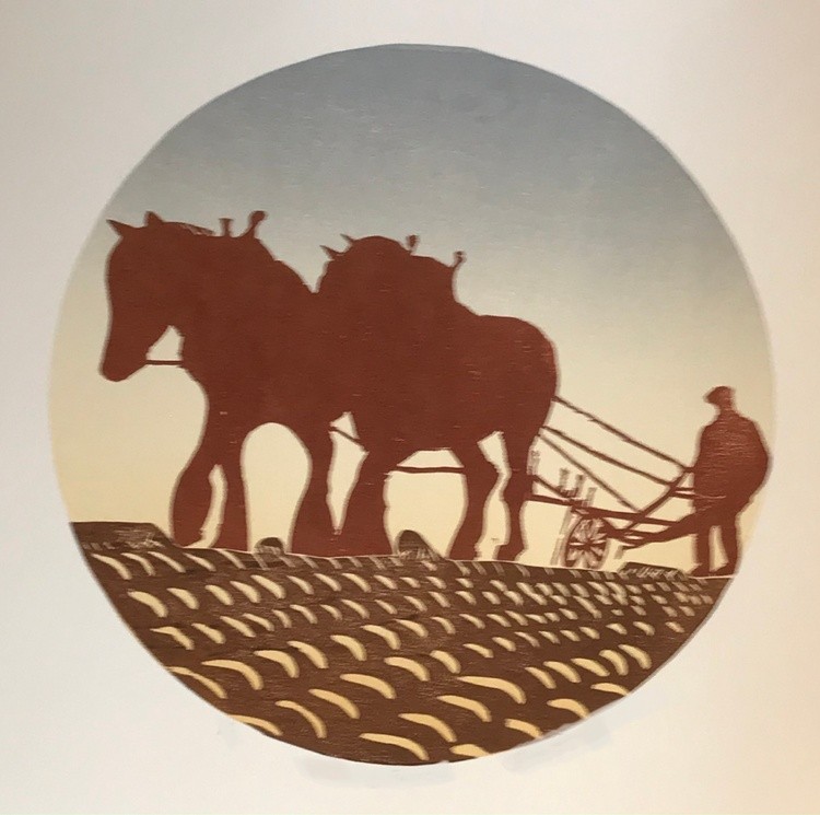 Morning Furrow