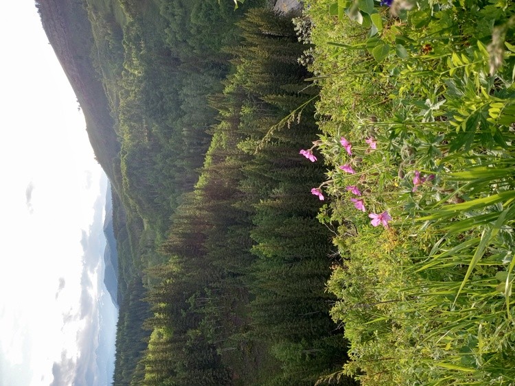 IMG 20240630 200341638 HDR