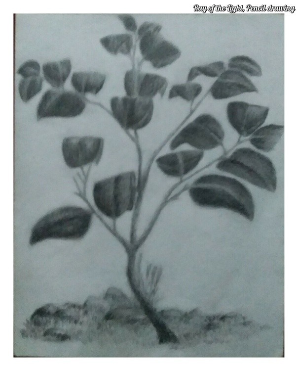 Ray of the light, Pencil drawing
