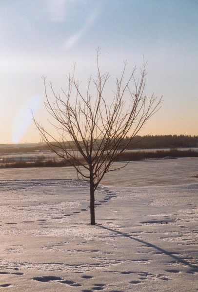 Winter's Solice