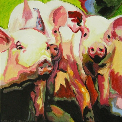 D282 pigs 4